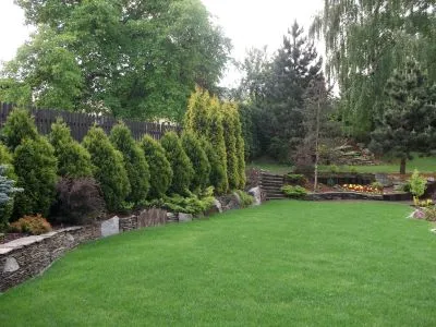 Ogród, z zielonym trawnikiem, pasem roślin iglastych po lewej