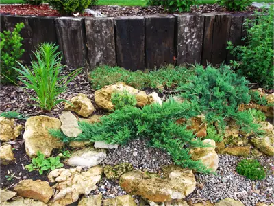 Fragment ogrodu z kamieniami i roślinami