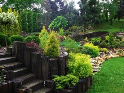 Fragment ogrodu z drewnianymi schodami, wokół których posadzone są rośliny